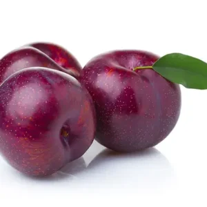 Plum Red