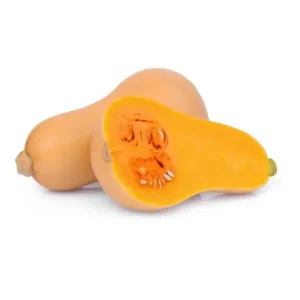 Butternut Squash