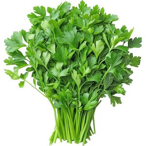 Coriander Leaves Loose