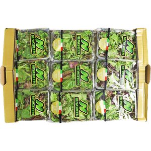 Lettuce Mesclun Mix Box Italy
