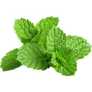 Mint-Leaves