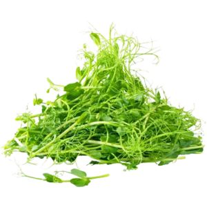 Pea Shoots - Microgreen Cut