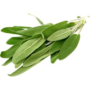 Sage