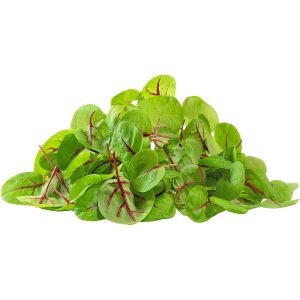 Sorrel Red Vein - Microgreen Cut