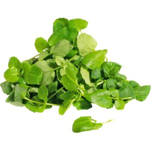 Watercress Leaf - Specialty Greens
