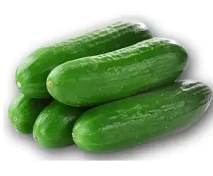 Baby Cucumber