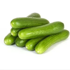 Baby Cucumber