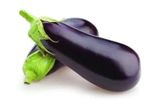 Eggplant Large