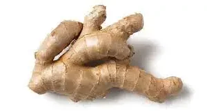 Ginger