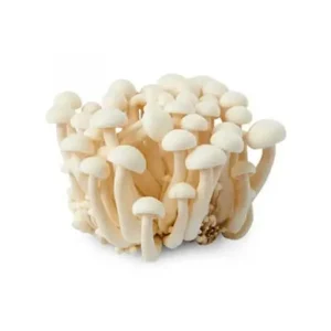 Shimeji Mushroom White