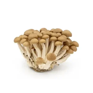 Shimeji Mushroom Brown