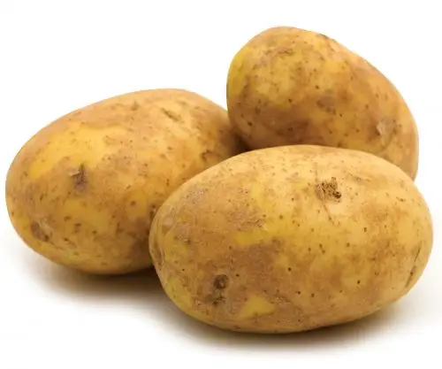 Potato Agria