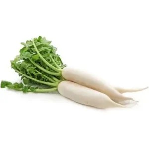 White Radish