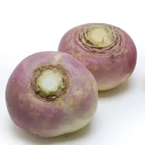 Turnip