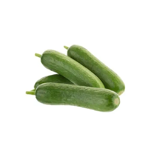 Baby Cucumber