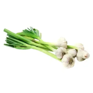 Green Garlic