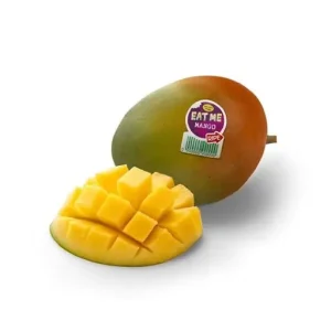 Mango R2E2