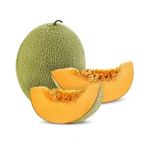 Rock Melon piece