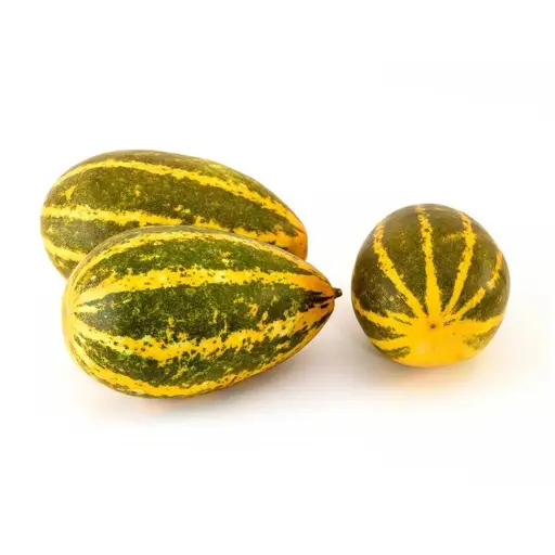 Vellery