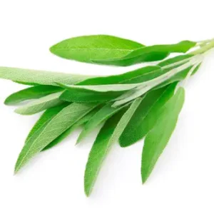 Sage