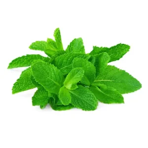 Mint Leaves