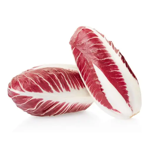 Chicory Red