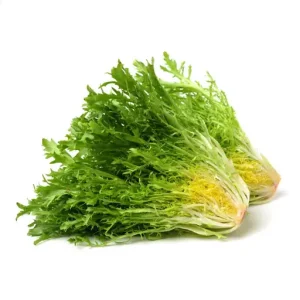 Lettuce Frisee Green