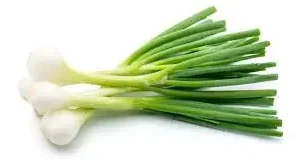 Onion Green