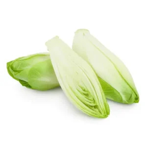 Chicory White