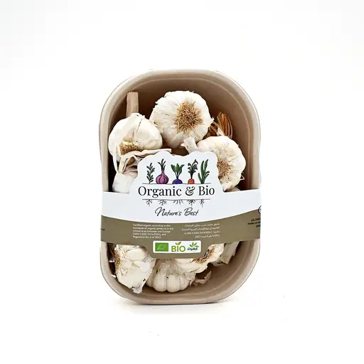 Garlic