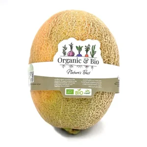 Rock Melon