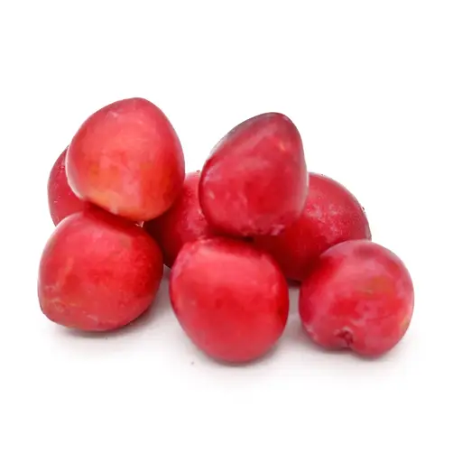 Plum Red