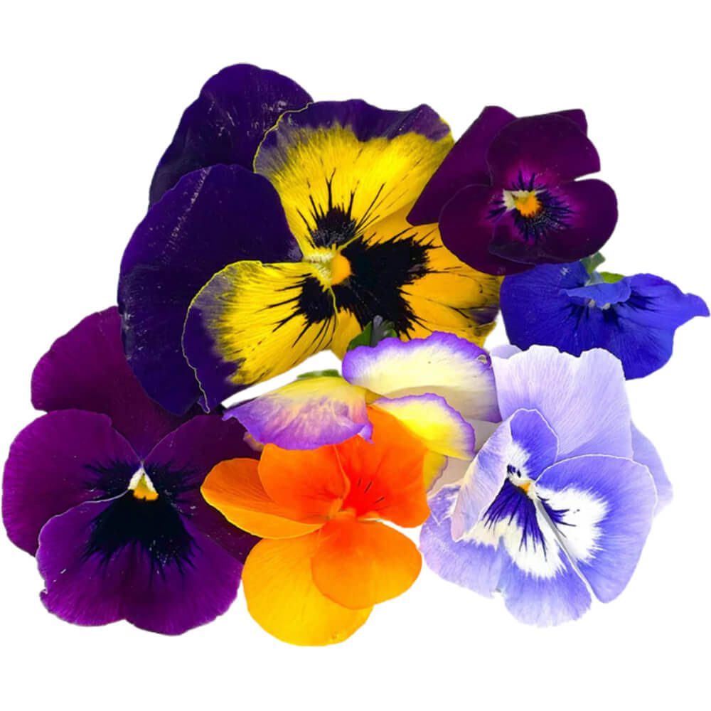 Edible Flowers
