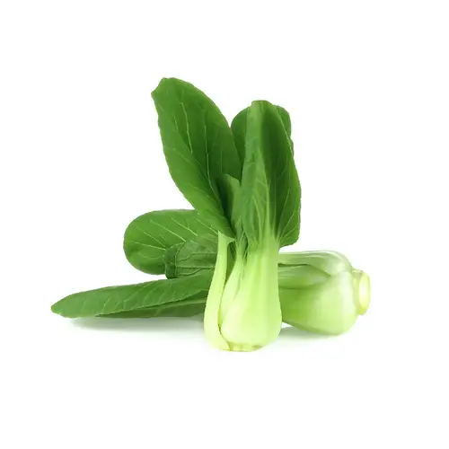 Pakchoi