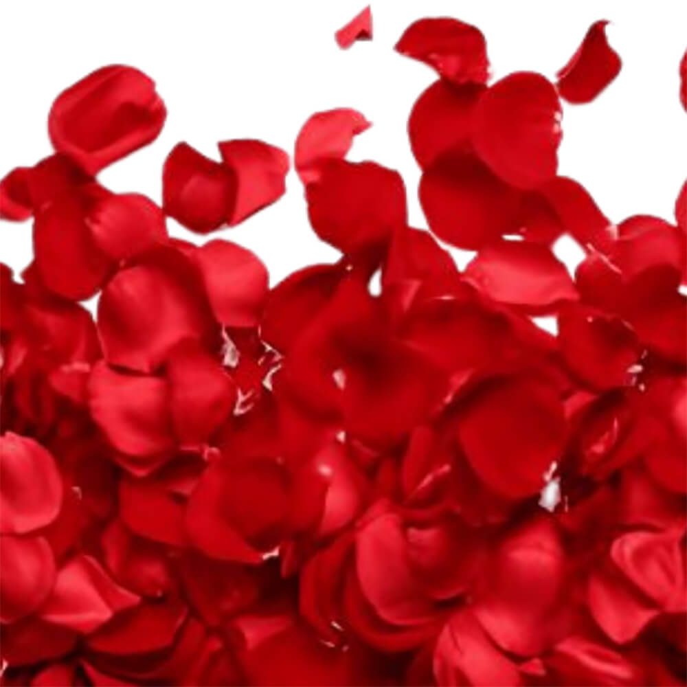 Red Rose Petals - Edible Flowers